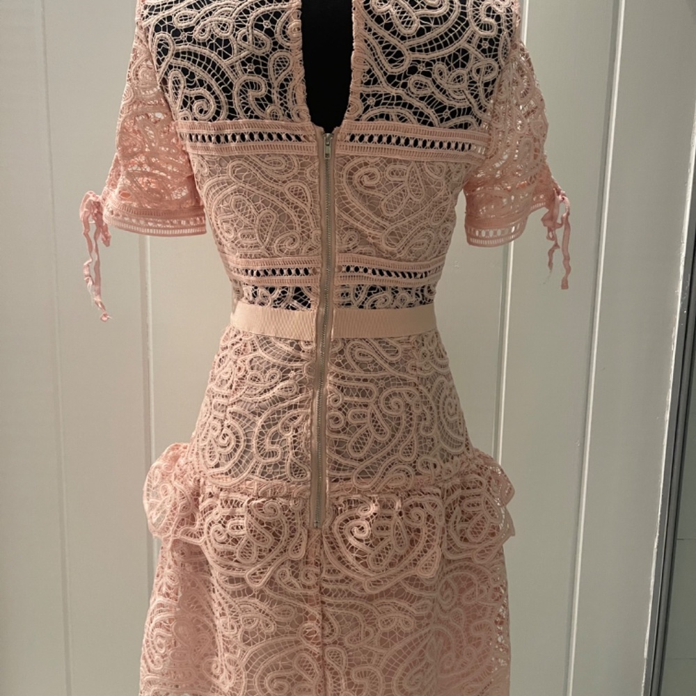 Self-Portrait Pink Lace Dress - Picture 5 of 9